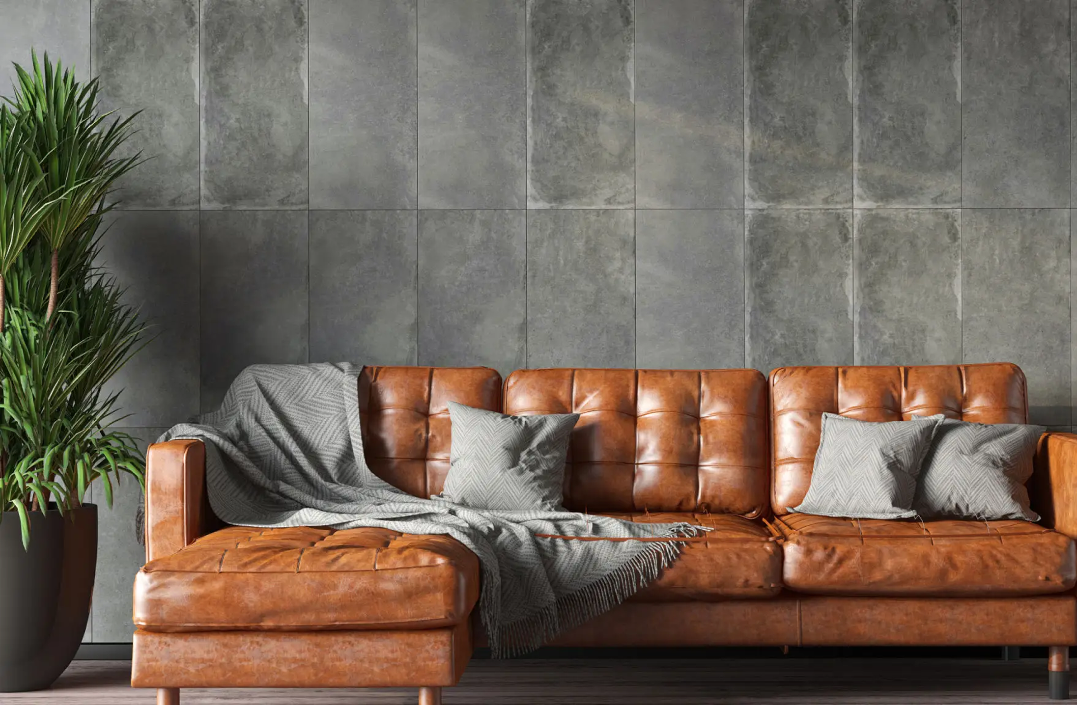 Cozy sofa and green plant in room